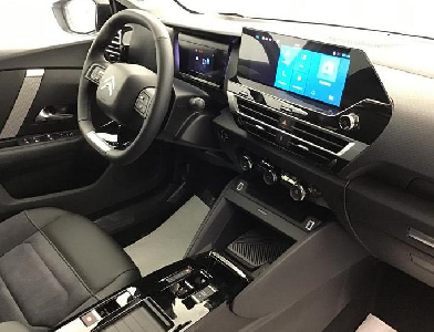 C4 Max Automatik Leder/Alcantara 360°-Kamera Lenkrad-/Scheibenheizung uvm..
