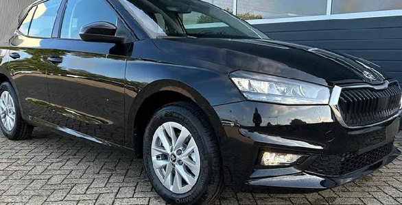 5 Jahre Garantie: Fabia 1.0 TSI Selection LED Klima Sitzheizung Kamera SOFORT