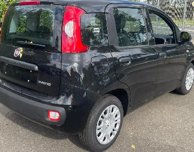 Panda Hybrid 6-Gang SOFORT